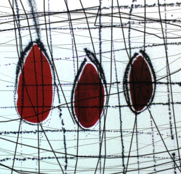 Helen Kay Artist